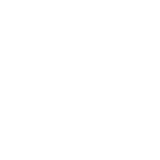 SQUADRON STAMP white